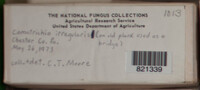 Image Associated With the Occurence